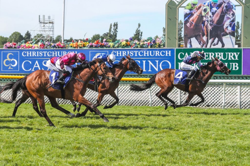 New Zealand Cup | Just Horse Racing