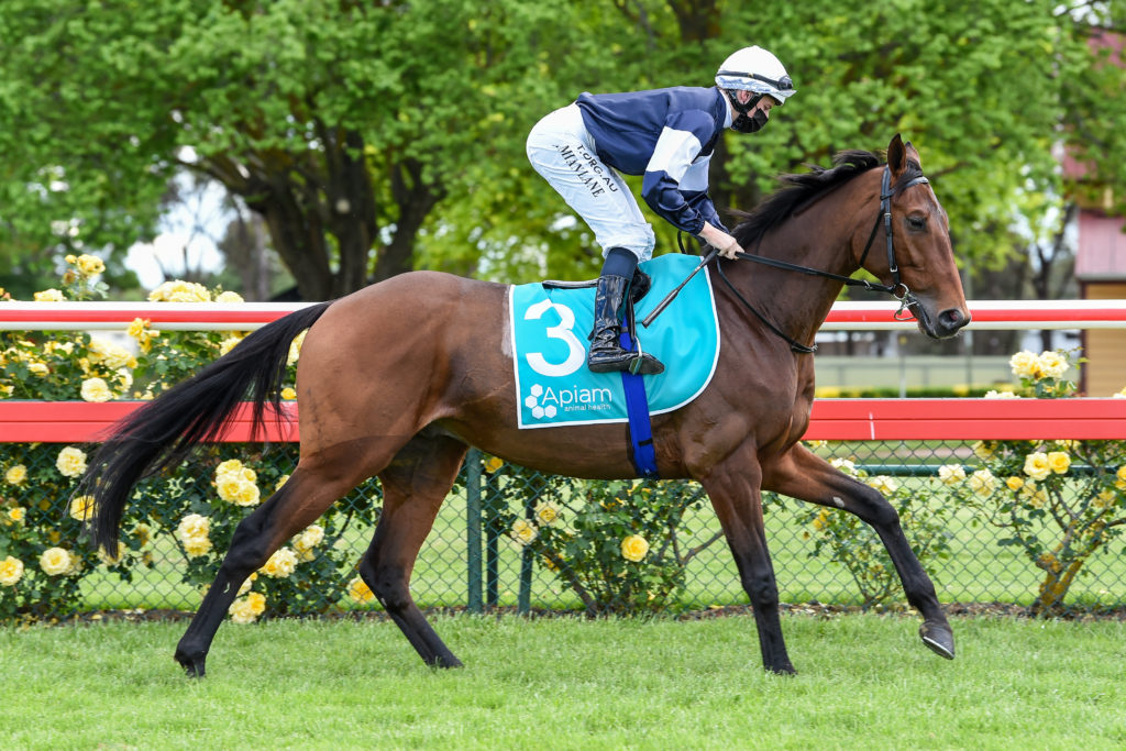 /r7/ | Just Horse Racing