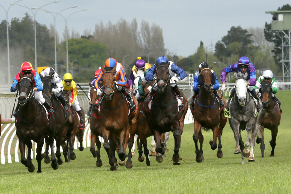 23/11/2024 Horse Racing Tips and Best Bets – Pukekohe Park, Auckland Thoroughbred Breeders’ Stakes day