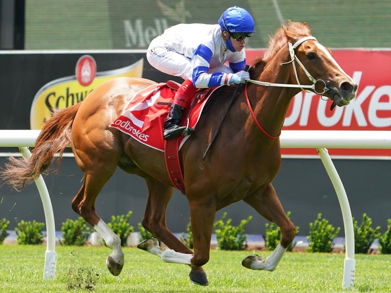 SANDOWN KEMALPASA | Just Horse Racing