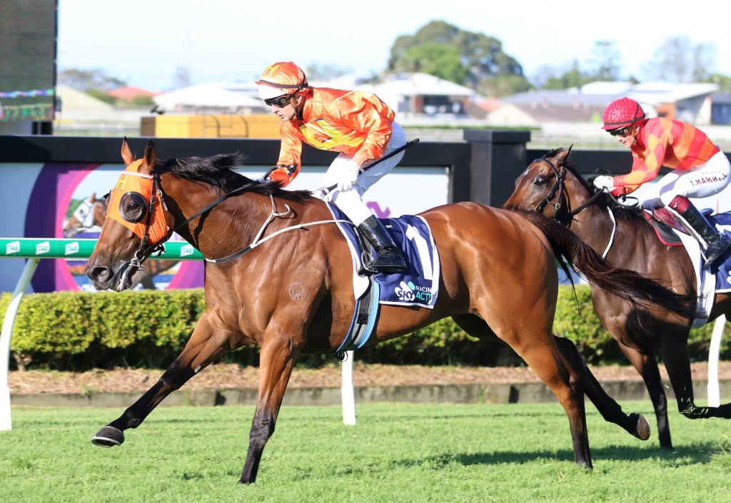 The Harrovian (2) | Just Horse Racing