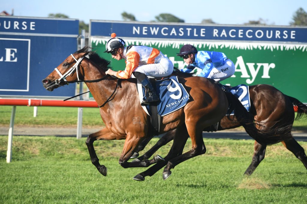 Through The Cracks 14112020 7481 | Just Horse Racing