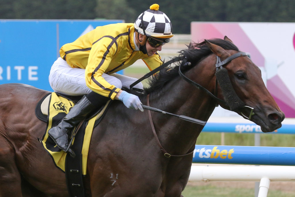 Tradewind_21-11-2020_WIN_Ballarat_3__378 | Just Horse Racing