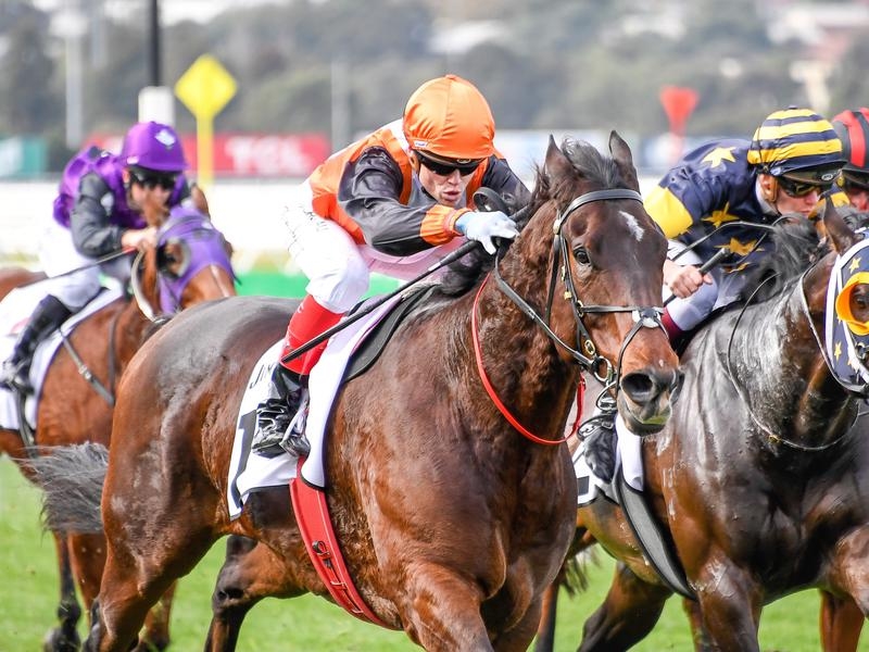 VALLEY PREZADO | Just Horse Racing
