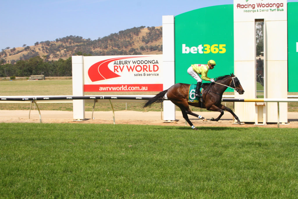 Wodonga Cup 2025 Field, Tips, Betting Odds, Results