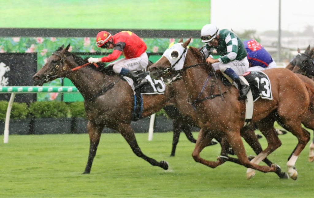 Alison of Tuffy (3) | Just Horse Racing