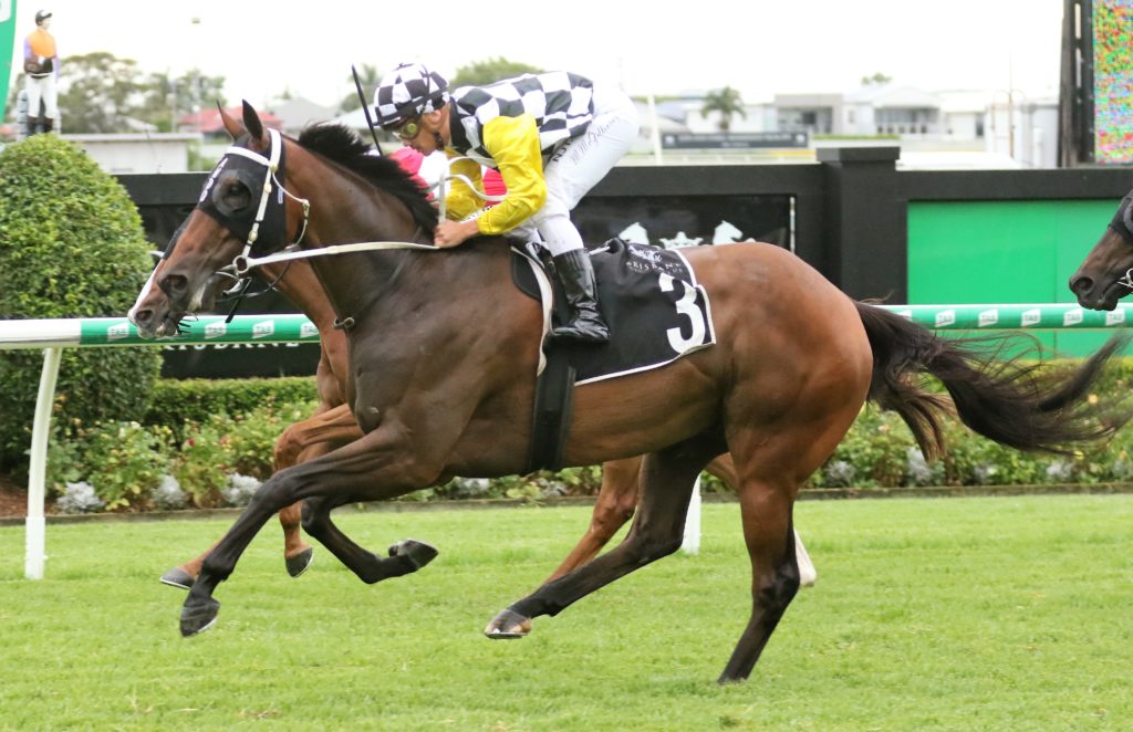 Ballistic Boy (2) | Just Horse Racing