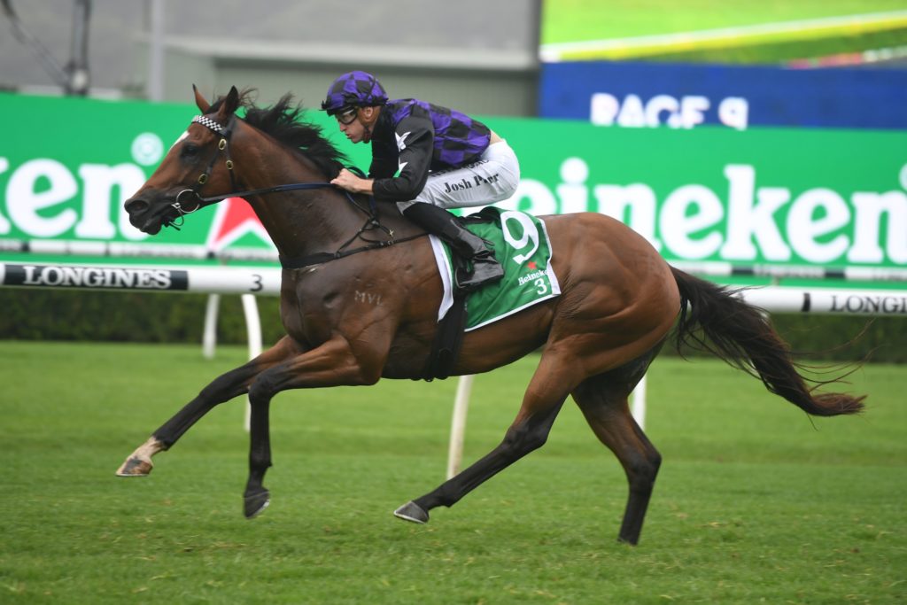 Big Parade 191220 6709 | Just Horse Racing