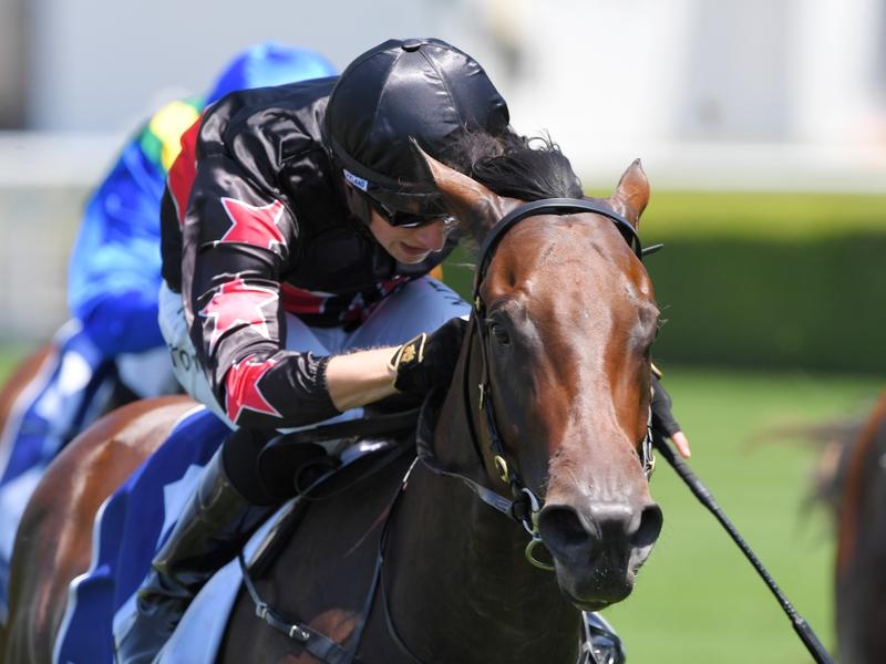 Doomben | Just Horse Racing
