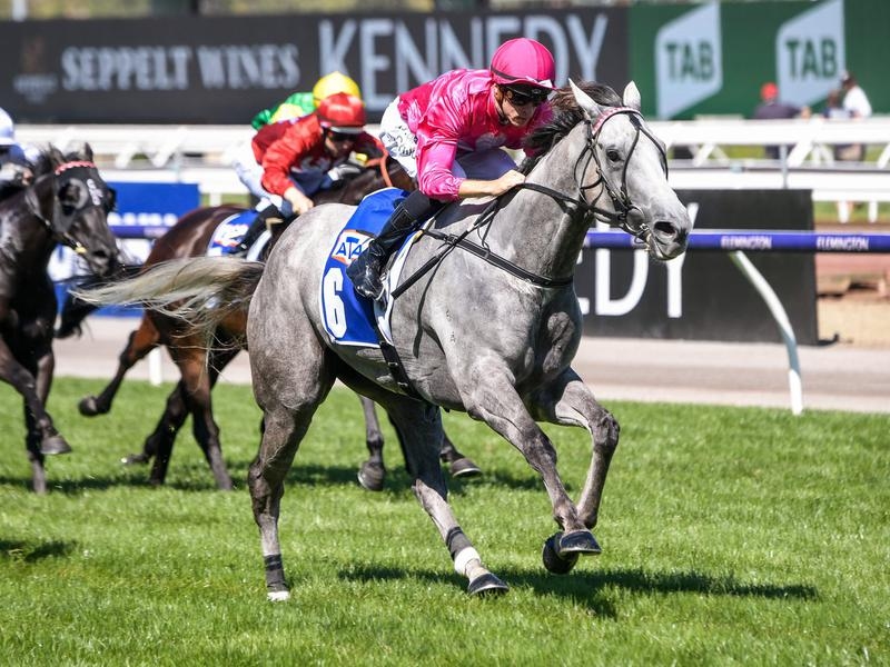 FLEMINGTON | Just Horse Racing