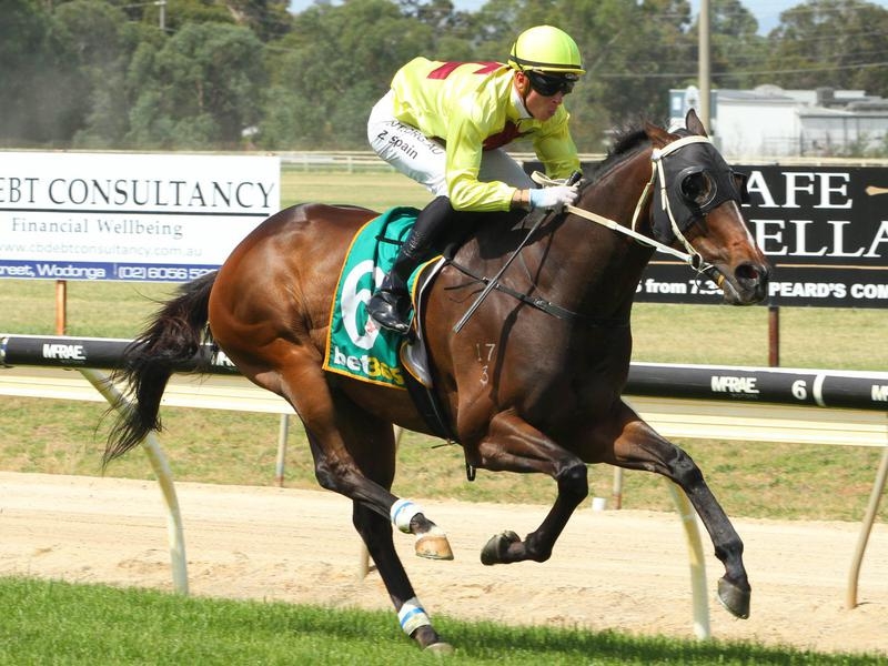 FLEMINGTON | Just Horse Racing