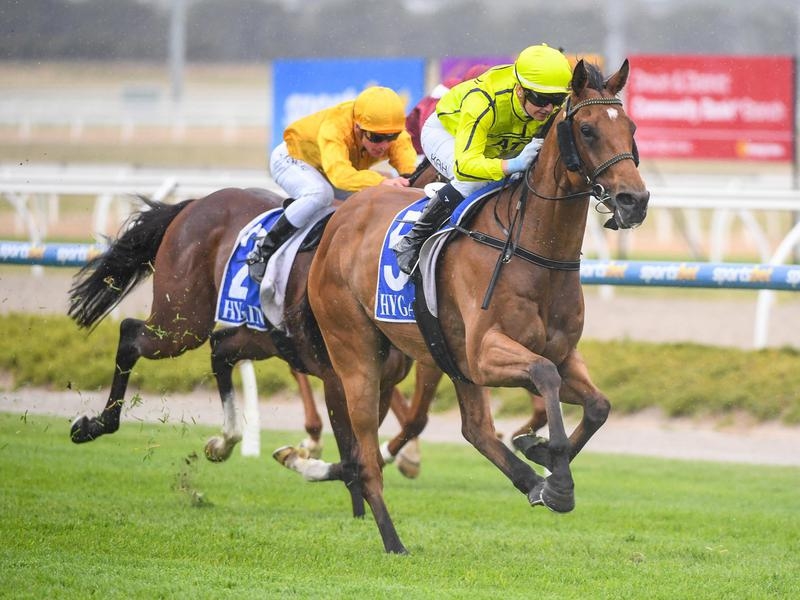 FLEMINGTON SIRIUS | Just Horse Racing