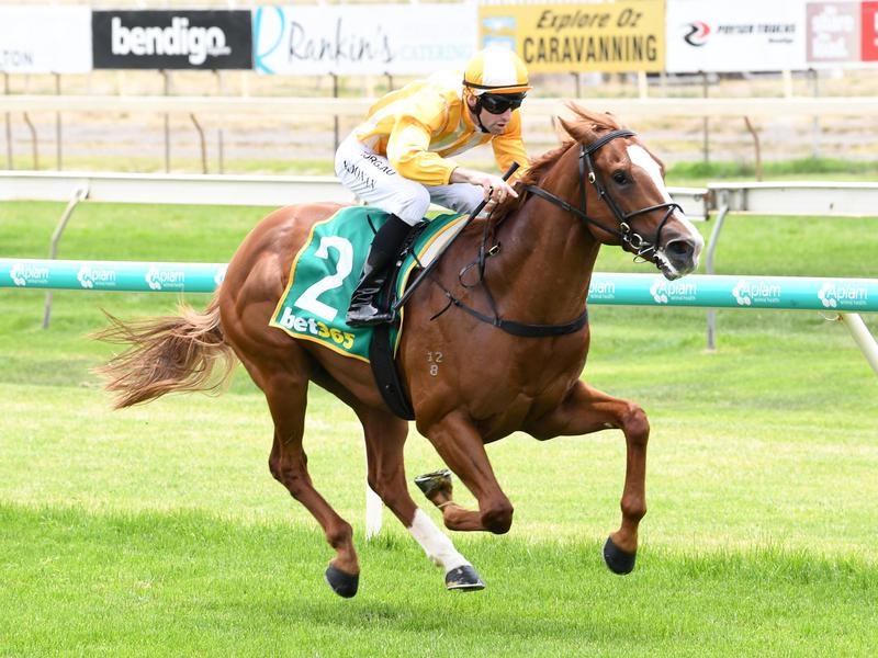 GALLOPS Caulfield | Just Horse Racing