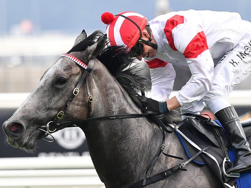 Gallops Legend | Just Horse Racing