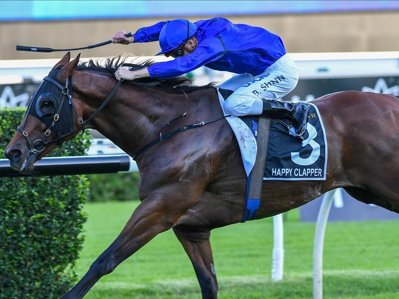 Gallops Webster | Just Horse Racing