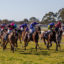 Gawler races | Just Horse Racing