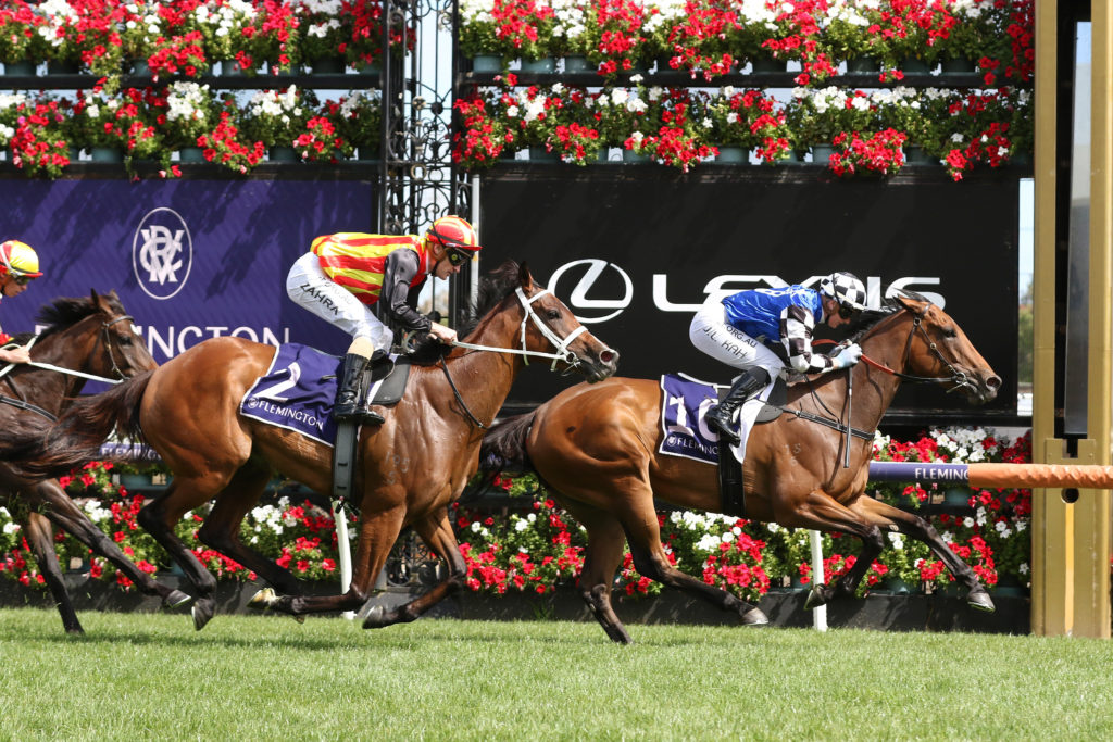 Lunakorn_19-12-2020_WIN_Flemington_6__852 | Just Horse Racing