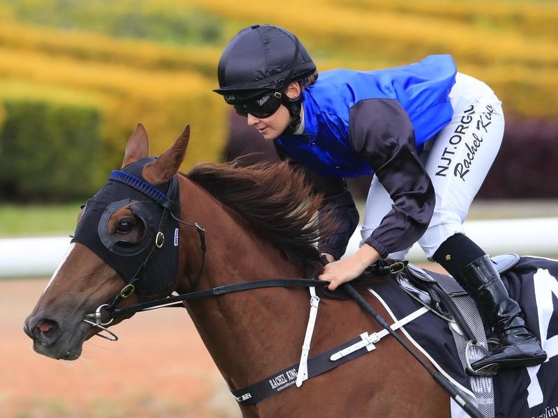 Randwick | Just Horse Racing