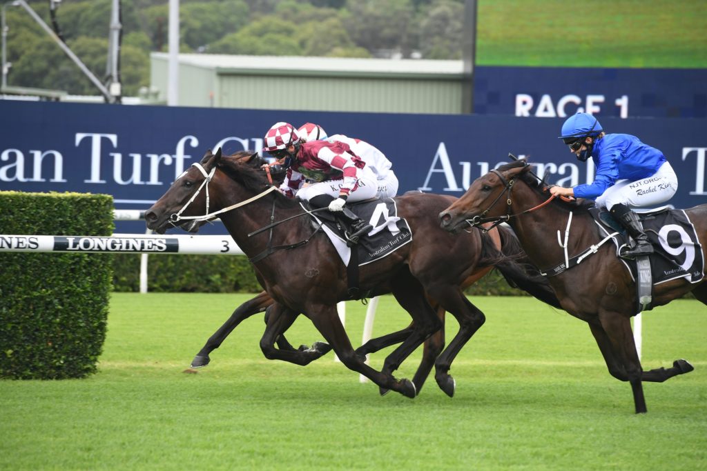 Bush Rocket ready to launch | Just Horse Racing