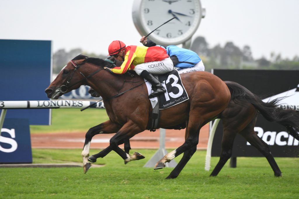 Significance 05122020 0554 | Just Horse Racing