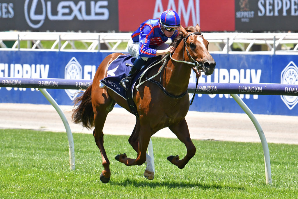 Profiteer | Just Horse Racing