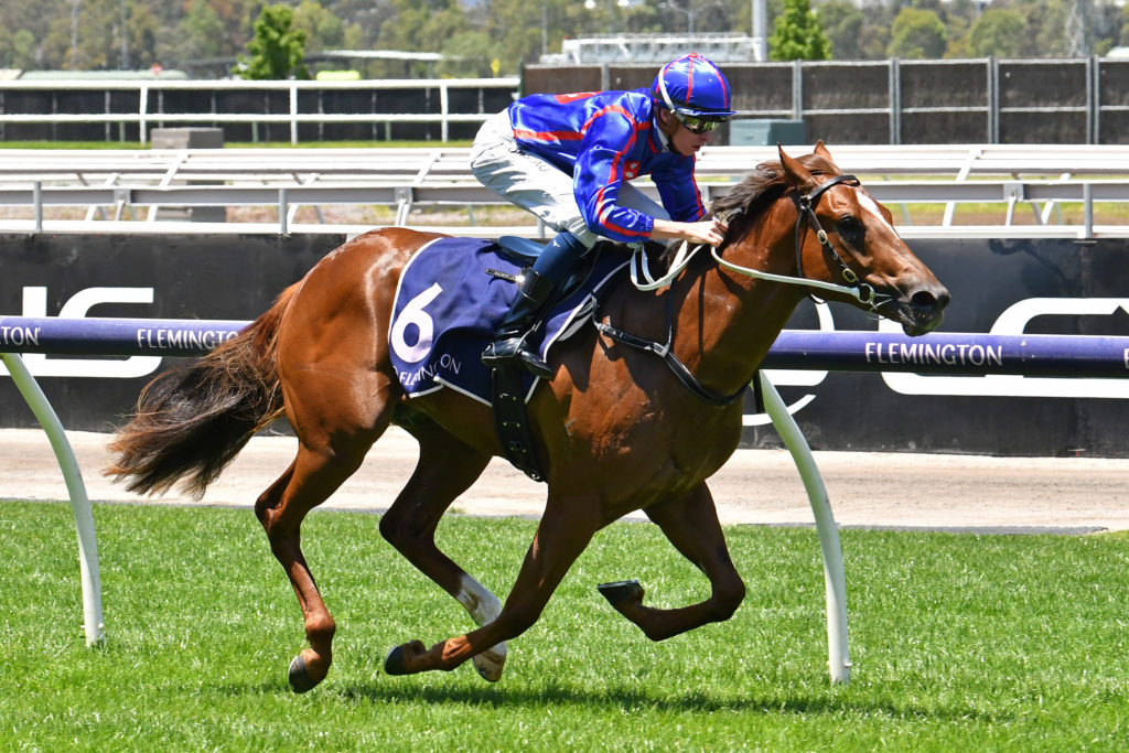 Profiteer | Just Horse Racing