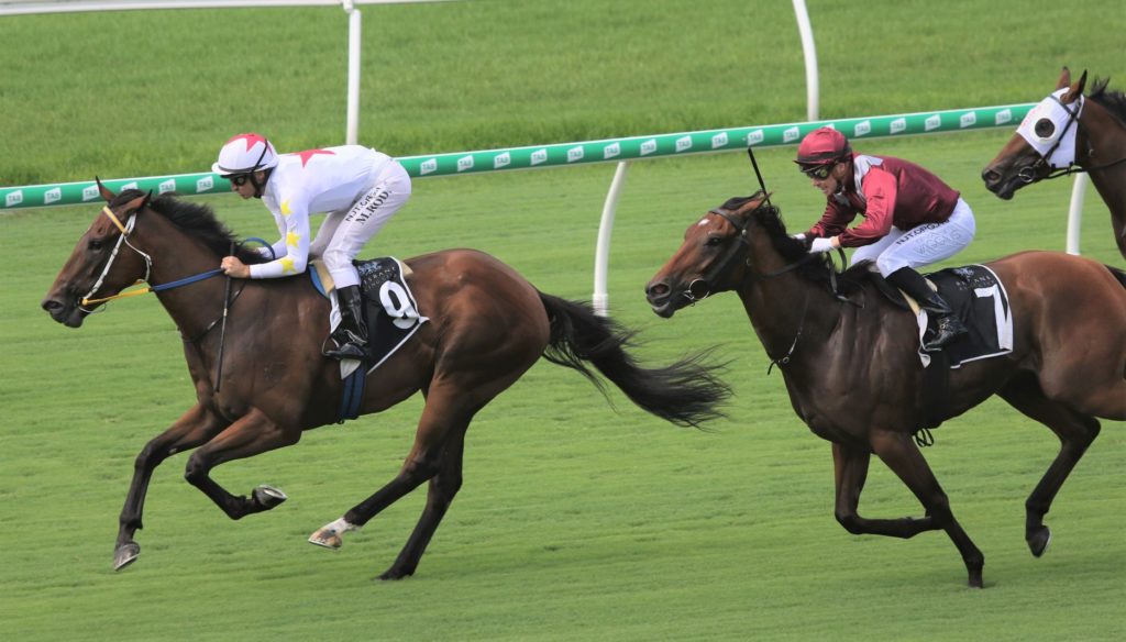 rodd guy winner eagle farm race 2 | Just Horse Racing