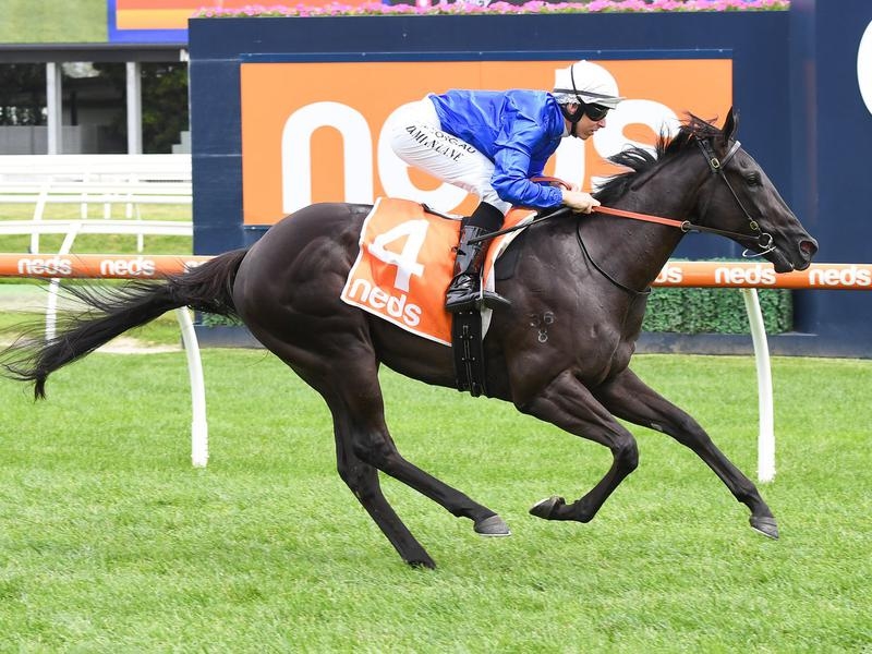 CAULFIELD ARCADED | Just Horse Racing