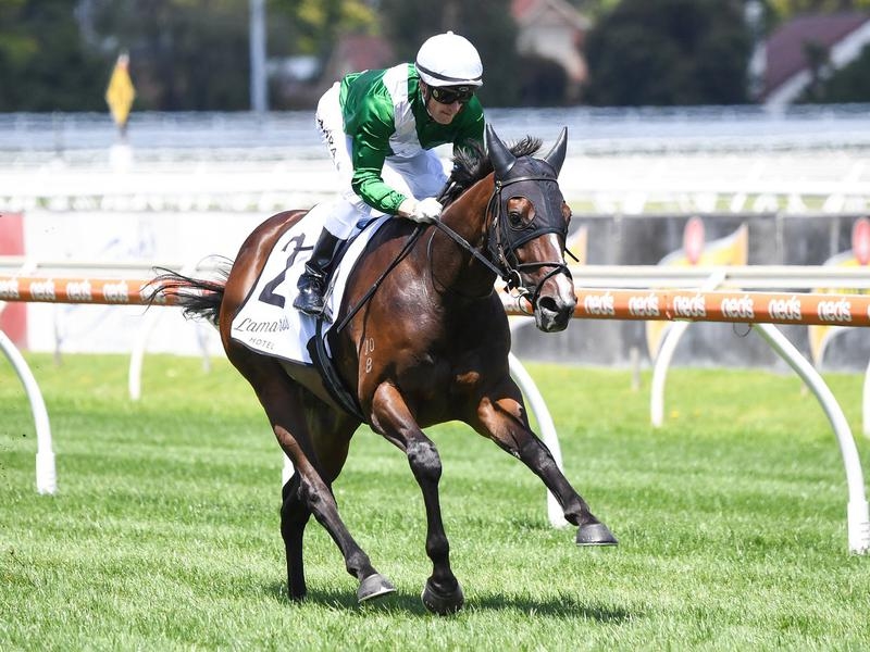 CAULFIELD ENTHAAR | Just Horse Racing