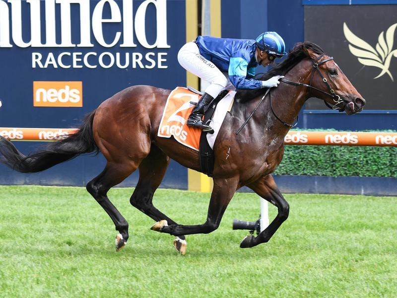 CAULFIELD Portland | Just Horse Racing
