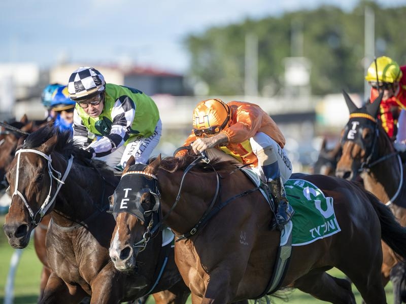EFarm Preview | Just Horse Racing