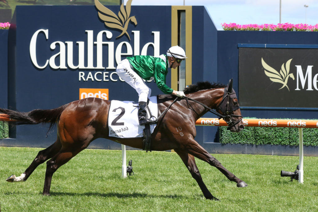 Enthaar,Chairman's Stakes,Group 3_30-01-2021_WIN_Caulfield_4__556 | Just Horse Racing