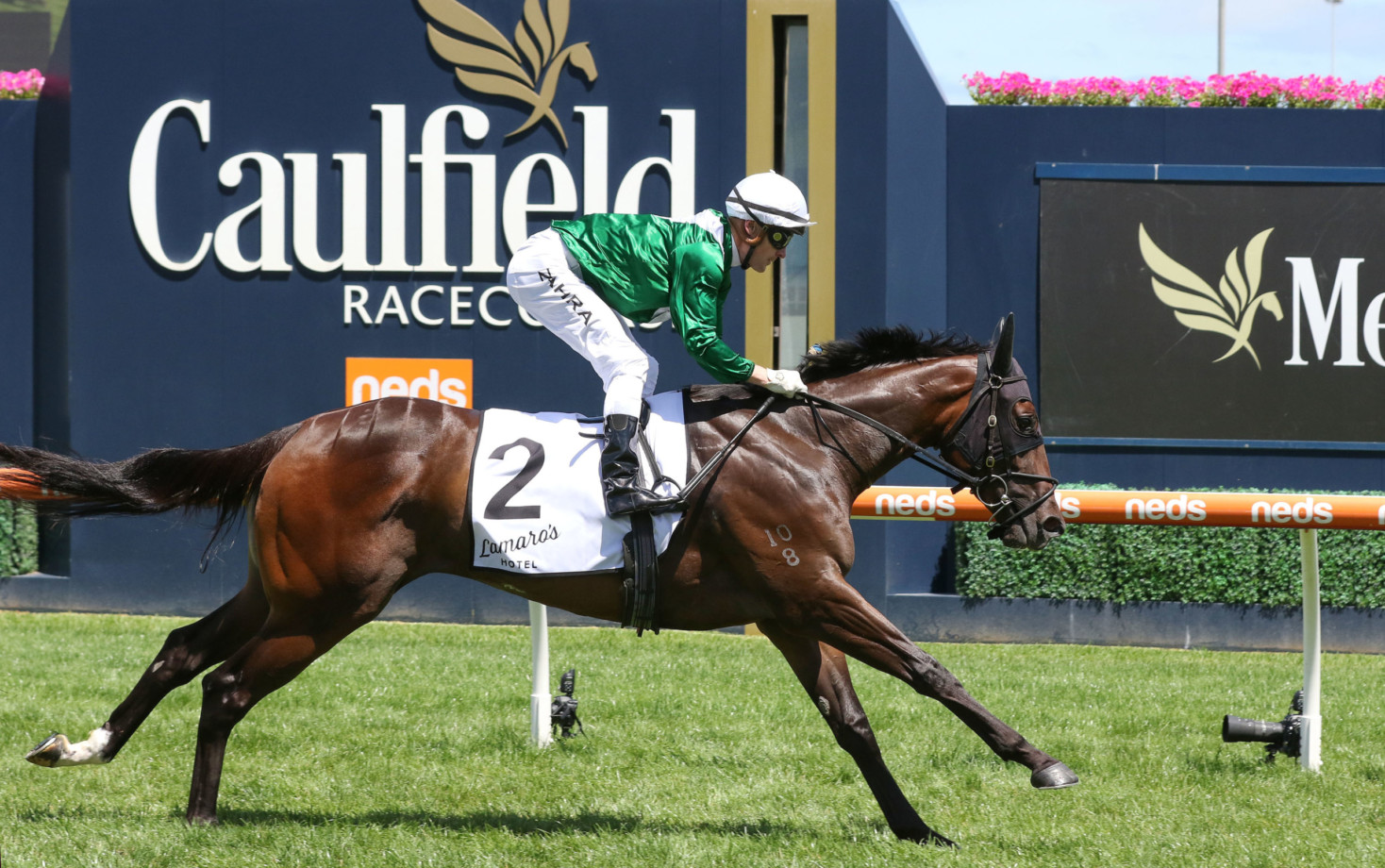 caulfield stakes odds