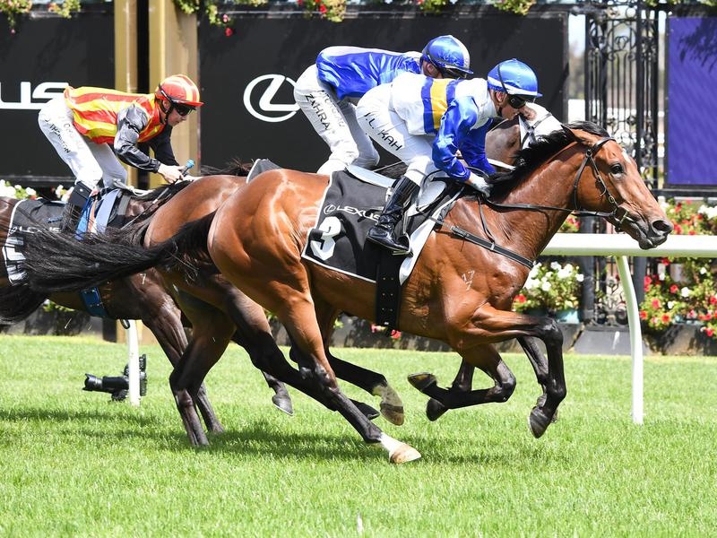 FLEMINGTON Alderson | Just Horse Racing