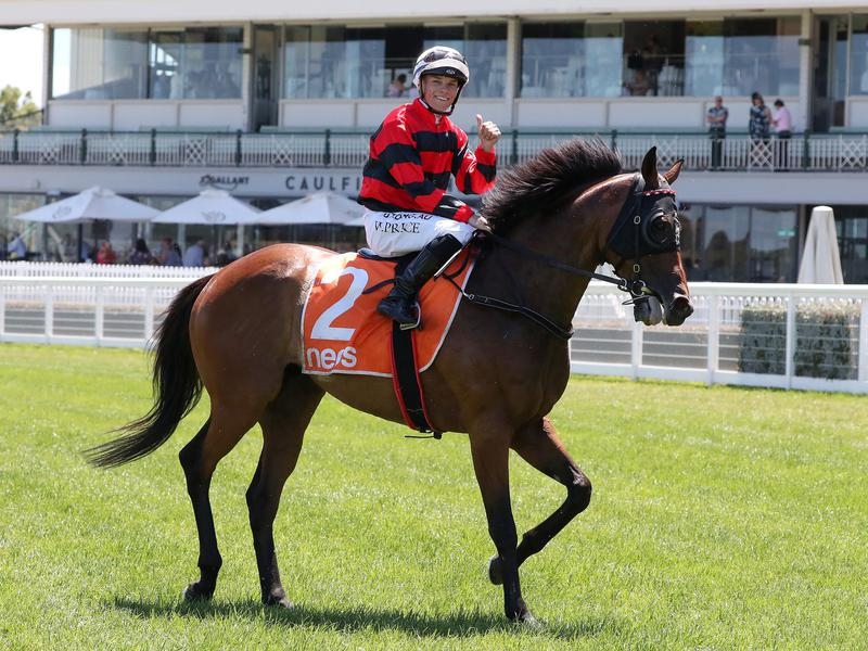 FLEMINGTON NEVER | Just Horse Racing