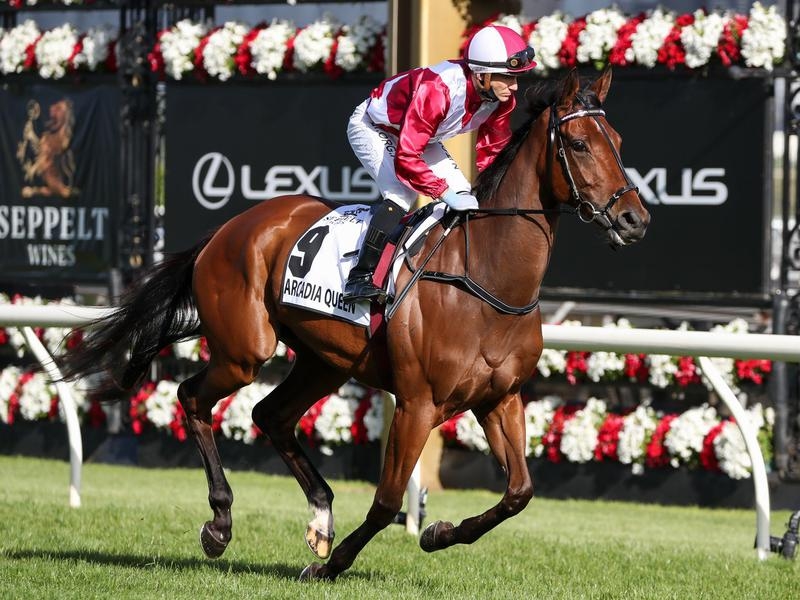 GALLOPS ARCADIA | Just Horse Racing