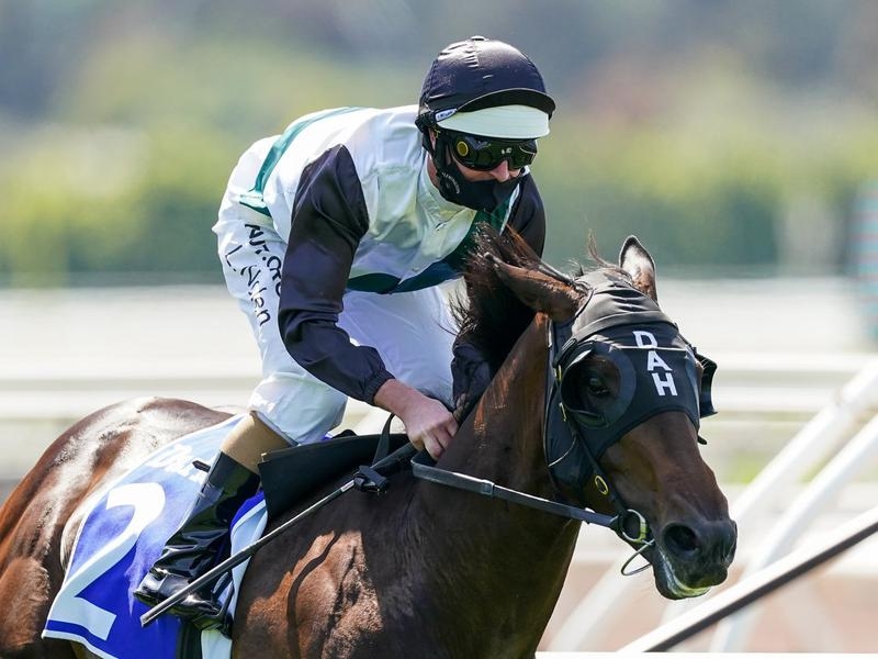 GOLD COAST FINANCE | Just Horse Racing