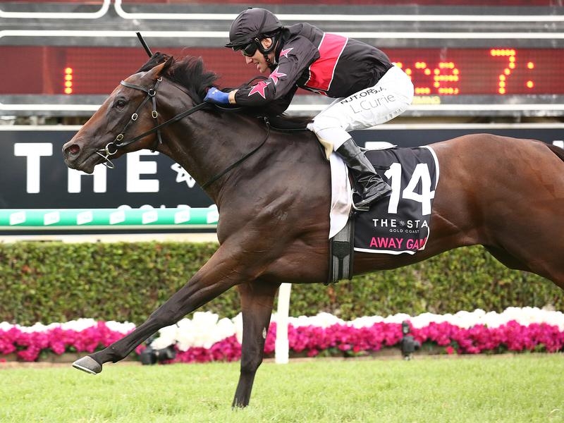Gallops Away | Just Horse Racing