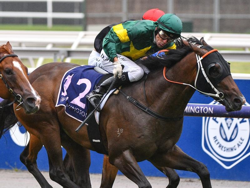 Gallops Rosehill | Just Horse Racing
