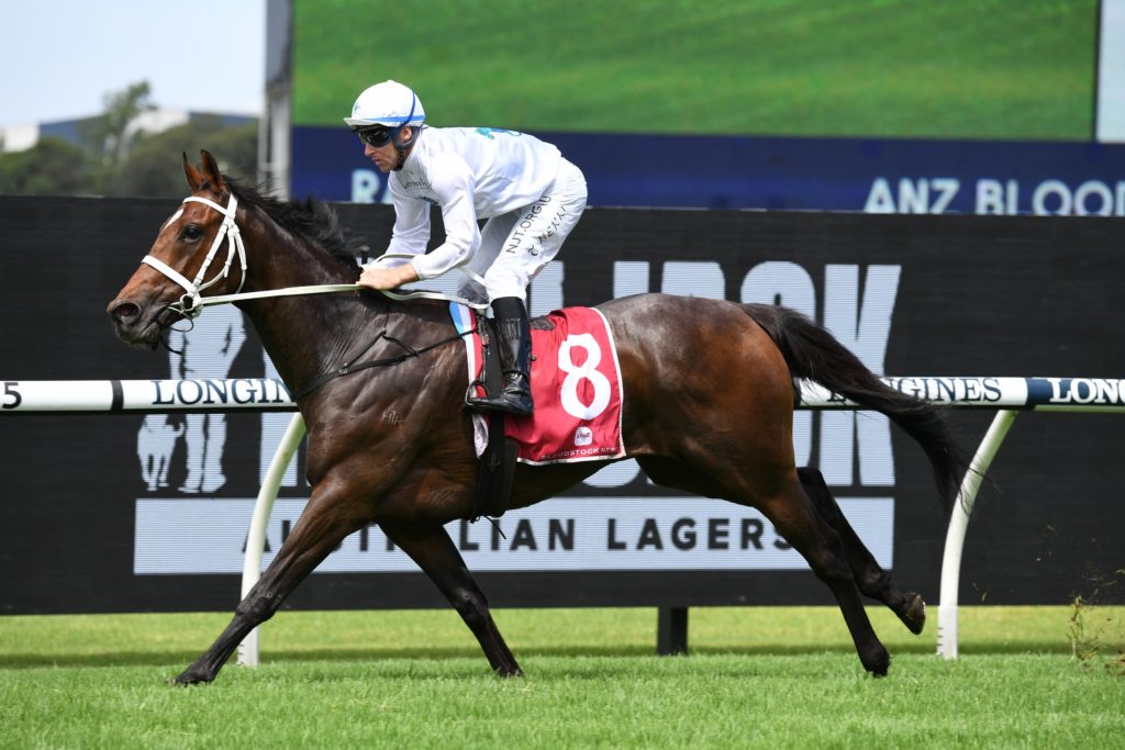 Great House 300121 5156 | Just Horse Racing