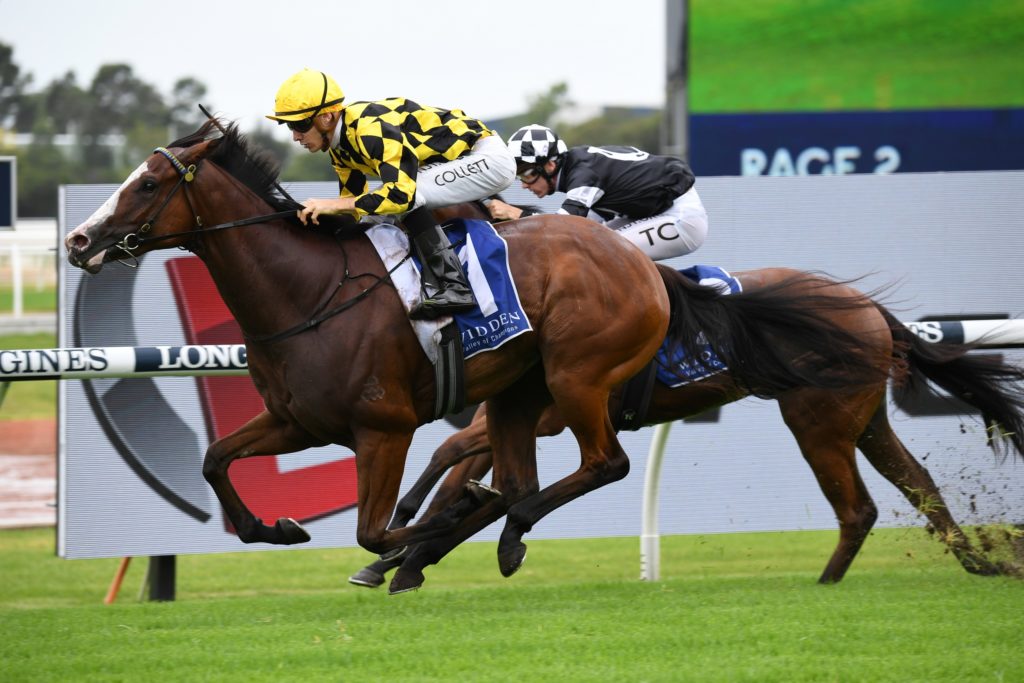 Mallory 300121 4888 | Just Horse Racing