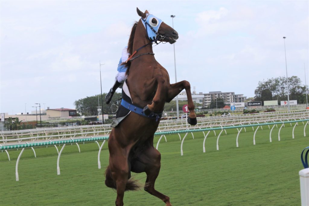 Our Hot Friend 1 | Just Horse Racing
