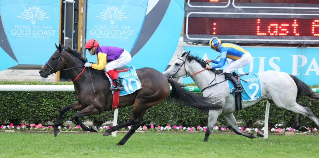 Paradee | Just Horse Racing