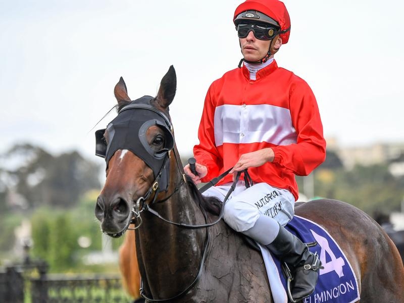 Randwick Sacramento | Just Horse Racing