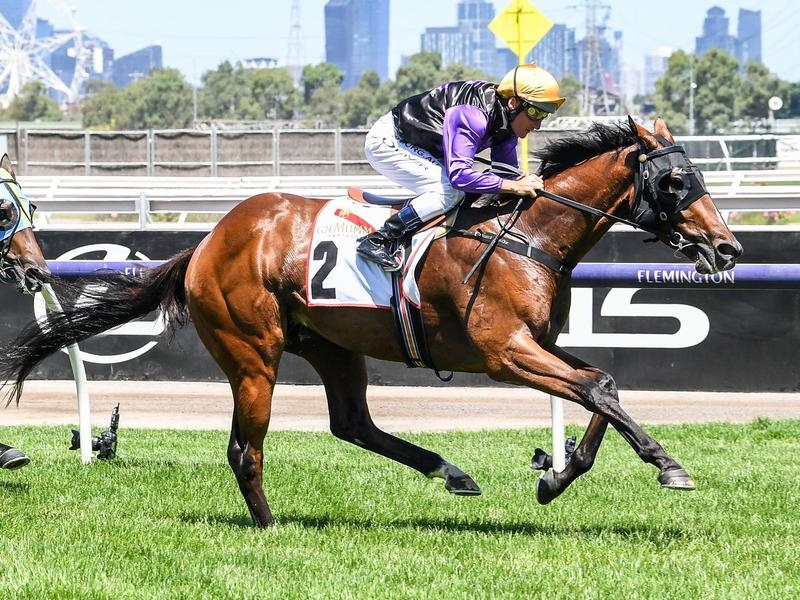 SANDOWN | Just Horse Racing
