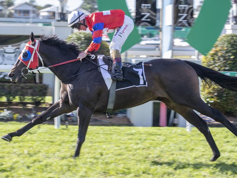 SCoast | Just Horse Racing