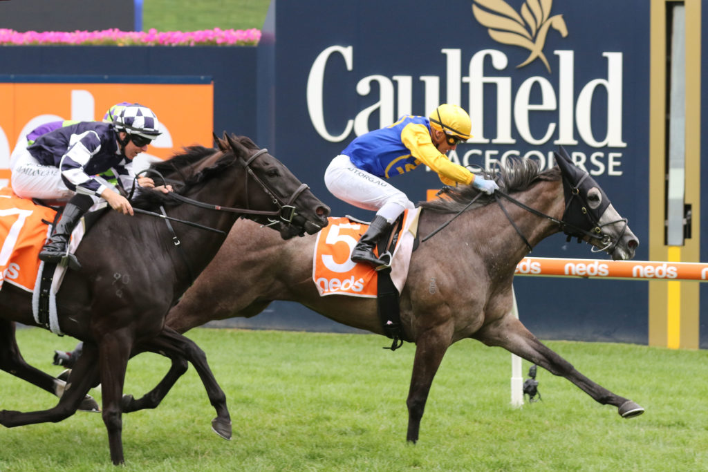 Silent Sovereign_30-01-2021_WIN_Caulfield_8__1255 | Just Horse Racing