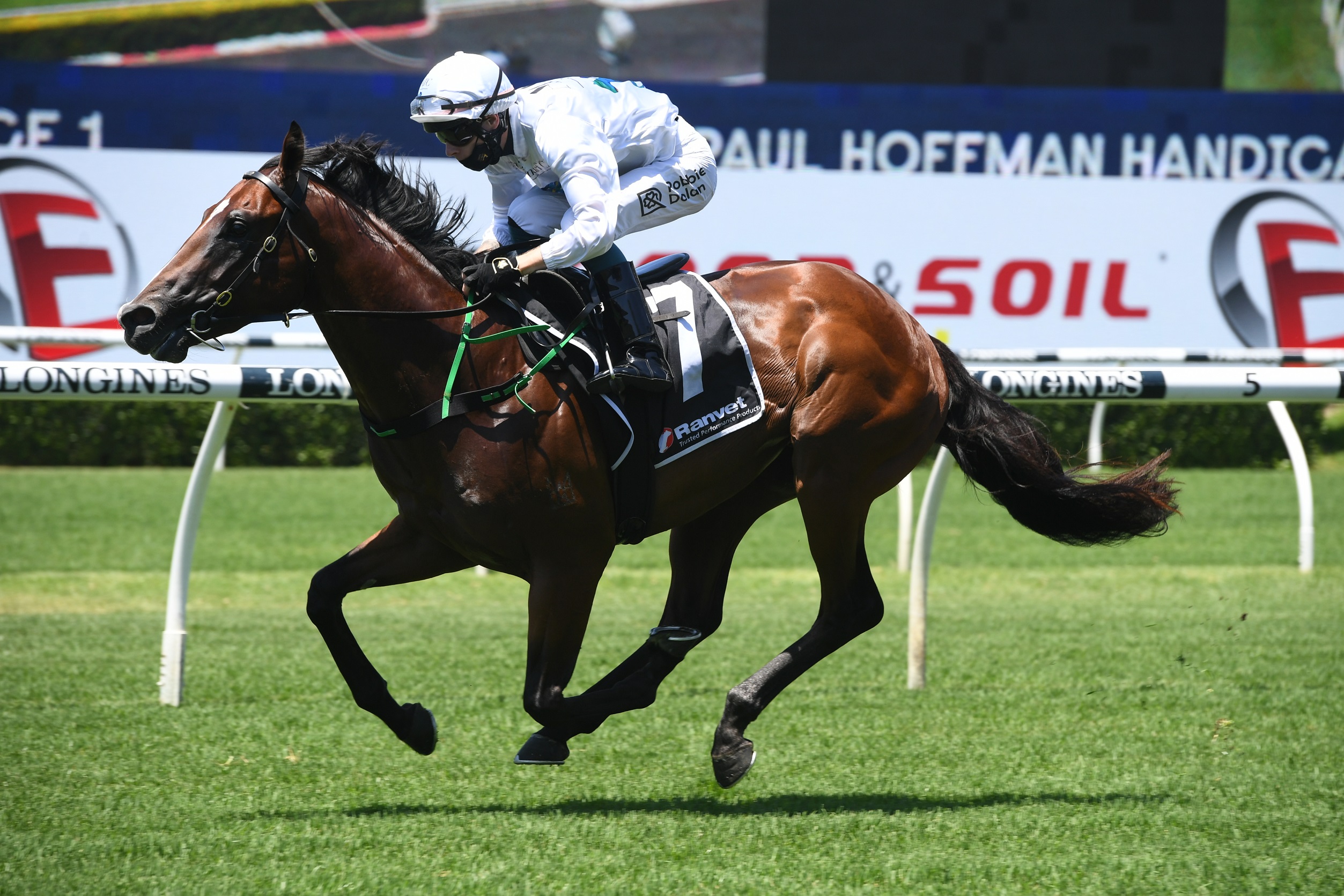 Freedman youngster impresses at Randwick - Vimarsana News