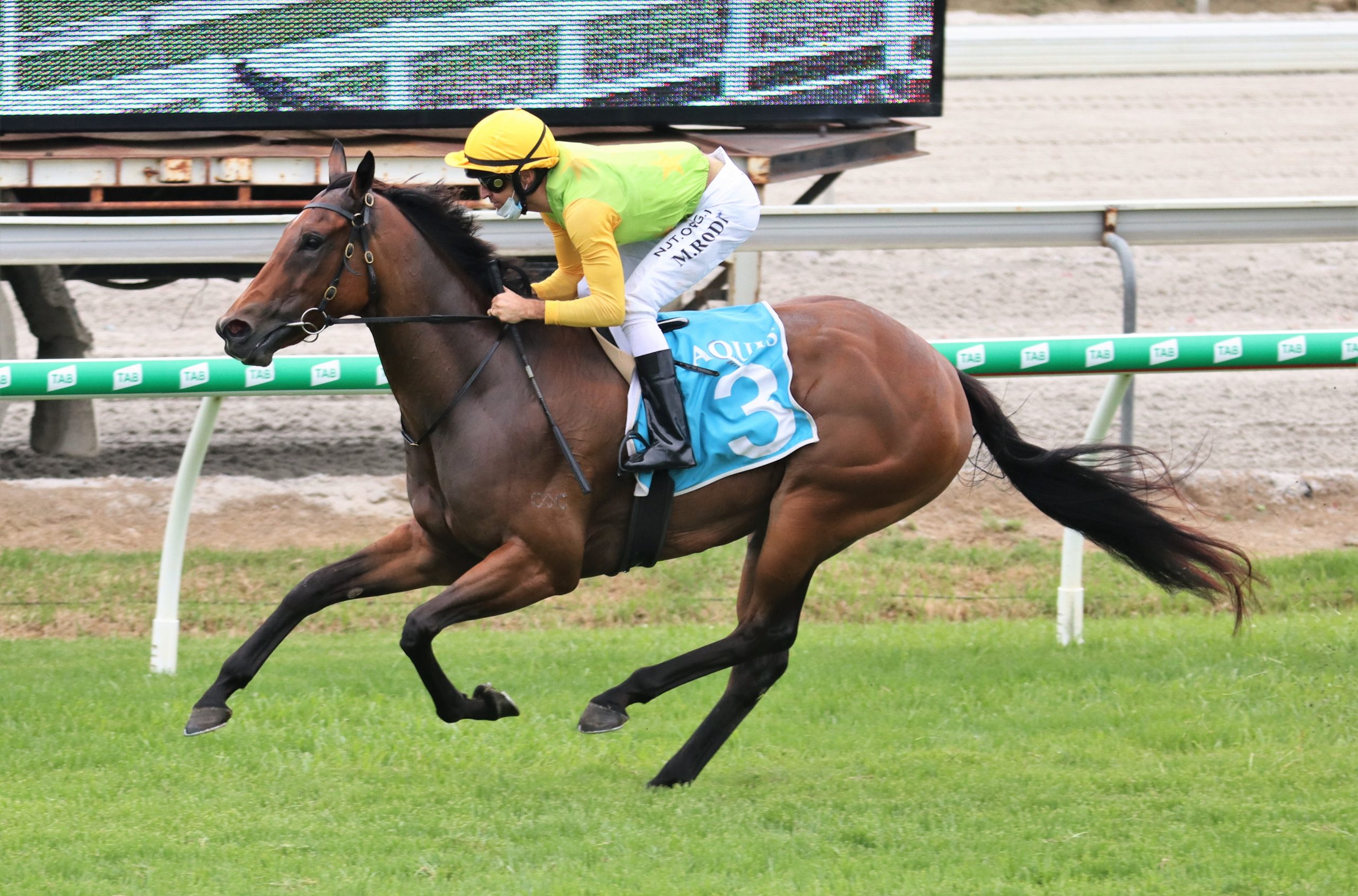 Watch 📺 Sugar Boom romps home at the Gold Coast - Vimarsana News
