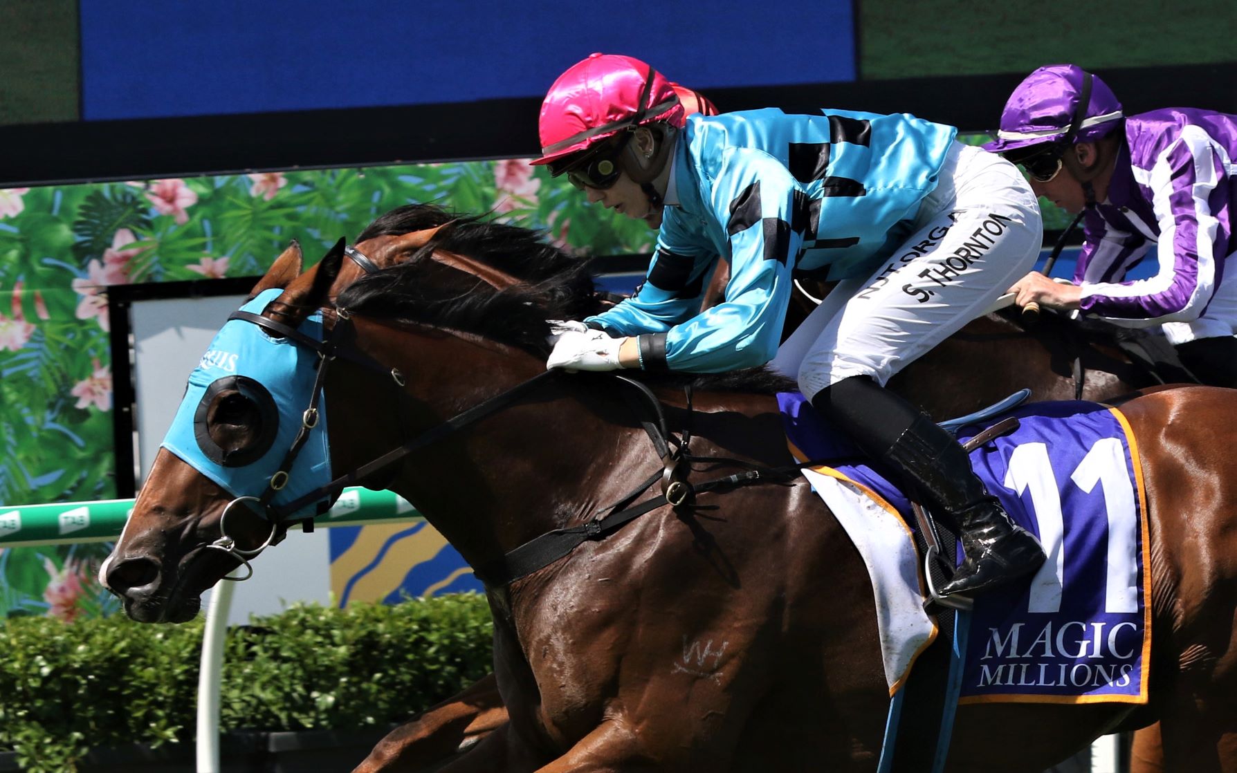 Queen Of Wizardry stamps herself on the Magic Millions Classic - Vimarsana News